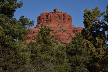 Bell Rock in Arizona - mountains, trees, nature, rocks