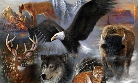 American Wildlife - wolf, art, buffalo, eagle