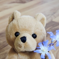 Teddy Bear With Flowers