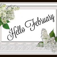 HELLO FEBRUARY