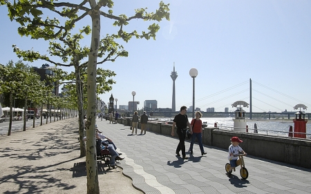 Promenade by Rhine - promenade, trees, people, river, rhine, germany