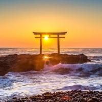 Torii Gate