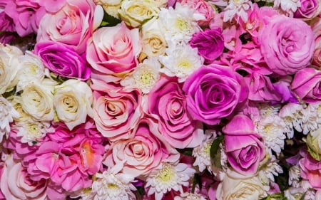 Flowers - skin, white, rose, texture, flower, pink