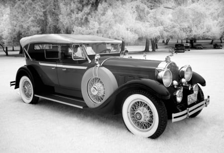 1929 packard phaeton saloon - saloon, car, packard, grass, phaeton