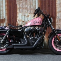 Pink Harley Davidson