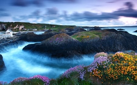 Lakeside Summer - flowers, clouds, house, hills, mist, morning, sky