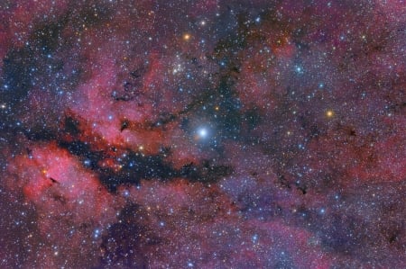 Central Cygnus Skyscape - fun, stars, cool, galaxies, space, planet