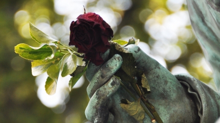 :-) - lieselot dalle, bokeh, hand, rose, flower, statue, sculpture