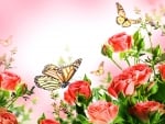 Butterflies and red roses