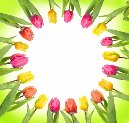 :-) - lalea, colorful, card, circle, tulip, spring