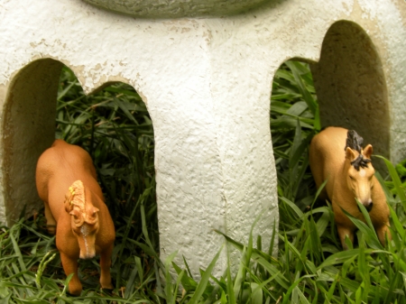 Two Quater Horse Figurines - Quater Horses, Photography, Summer, Figurines