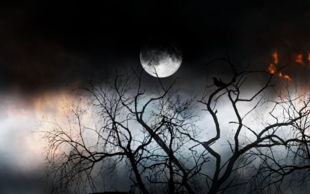 The mystery of night - twilight, midnight tree, silhouette, full moon