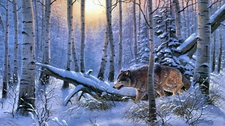 Wolf - winter, blue, derk hansen, wolf, snow, forest, lup, pictura, animal, sunset, painting, iarna, art