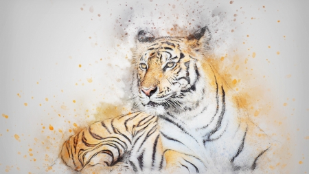 Tiger - watercolor, art, tiger, tigru