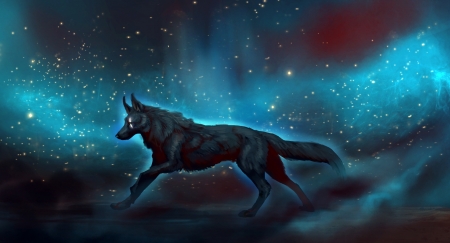 :-) - wolf, sky, stars, luminos, blue, lup, jademere, fantasy