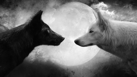 :-) - moon, hati, lup, bw, black, fantasy, wolf, white, luminos, luna