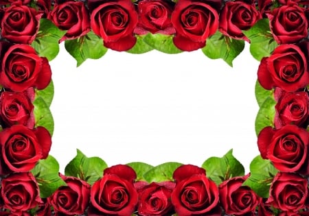 :-) - frame, red, rose, texture, flower