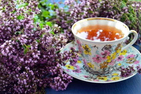 Drink - drink, flowers, photo, nature