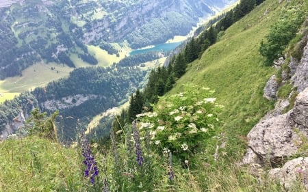 Mountain and Valley - flowers, nature, lake, mountains, valley