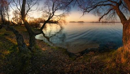 Magical of the nature - river, nature, tree, amazing