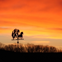 Weather Vane in Sunset