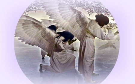 Angels In Heaven - wings, angels, abstract, heaven