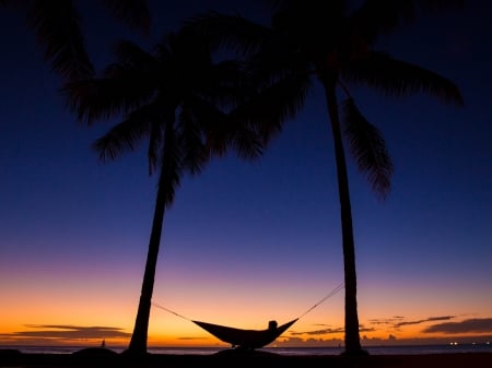 Sunset - Silhouette, Night, Rest, Hammock, Palm trees