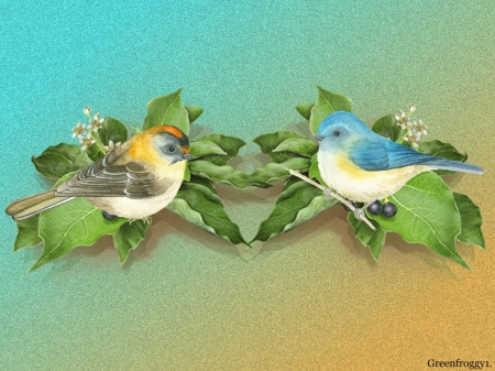 CUTE BIRDS - image, two, cute, birds