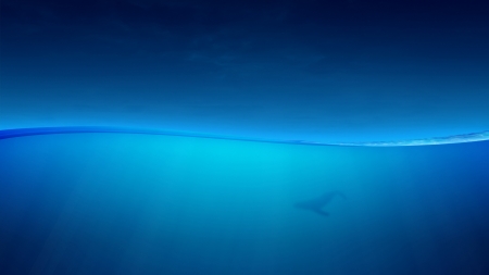 Ocean - ocean, whale, vara, blue, water, summer, sea