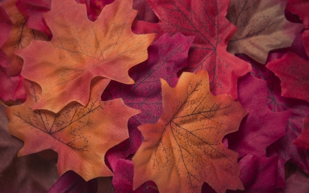 Leaves - skin, autumn, orange, leaf, texture, pink