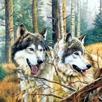Wolves Art