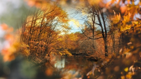 A Fall Collage - fall, trees, Firefox theme, pond, autumn, collage, stream, lake