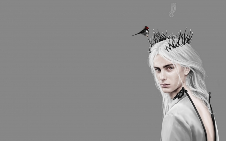 :-) - white, fantasy, bird, man, horns