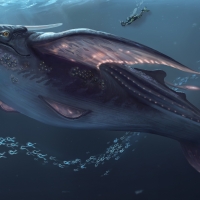 Fantasy whale