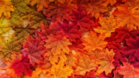 Leaves - skin, autumn, maple, red, orange, leaf, texture