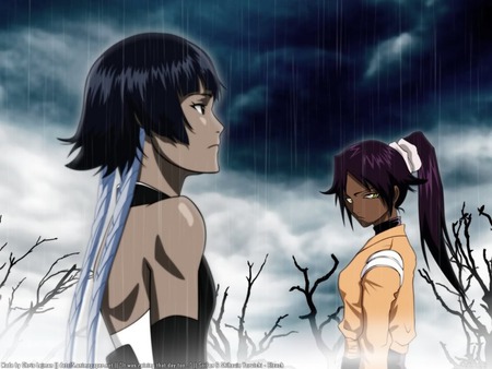 Soifon and Yourichi - bleach, yourichi, soifon