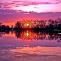 Oak Trees Sunset