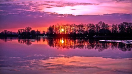 Oak Trees Sunset - warm, awesome, beauty, lovely, cool, fascinating