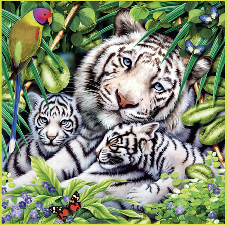 family - family of white tigers, tigers