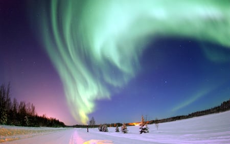 Northern Lights  - above, green, northern lights, sky, shine