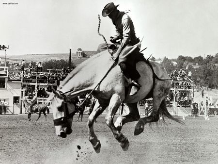 Old Time Rodeo - sports, rodeo, horses, photography, black and white, cowboys