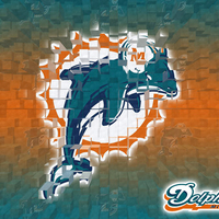 NFL Miami Dolphins