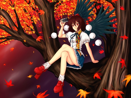 A photo of the sunset - shameimaru aya, genso reporter, anime, touhou, camera, gensokyo, beauty, manipulation of wind