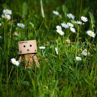 Danbo Watching The Sun Rise 