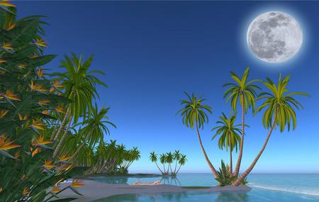 Island - moon, abstract, palms, water, island, sky