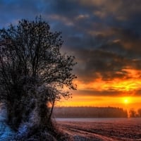 Sunset over Field of Winter Frost