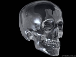 The glass skull