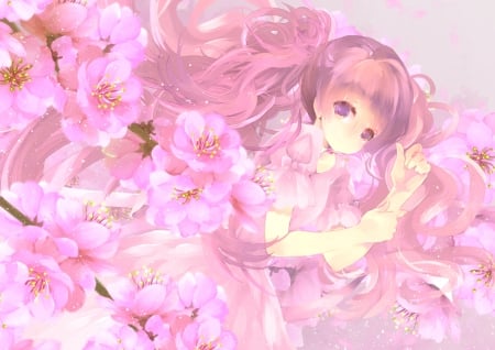 Sakura - anime, cherry blossom, sakura, girl, tagme, flower, manga, punk, luminos