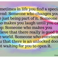 SPECIAL FRIEND