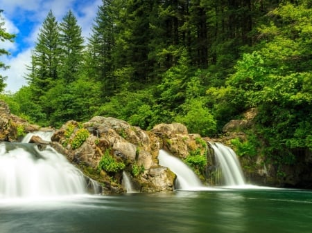 Forest Rock Waterfalls - nature, waterfalls, forests, rocks